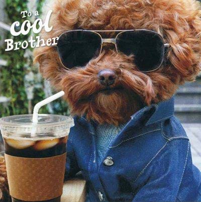 Cool Day Brother Birthday Card