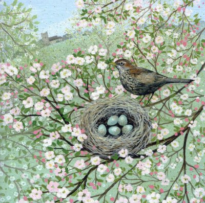 Blossom and Blackbird Greeting Card