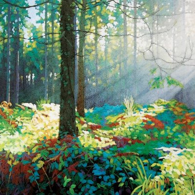 Forest Dawn Greeting Card