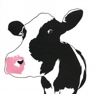 Cow Greeting Card