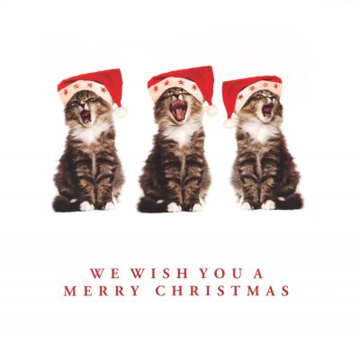 Kitty Choir Christmas Card