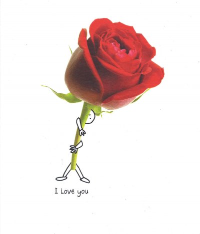 Big Rose Valentine's Day Card