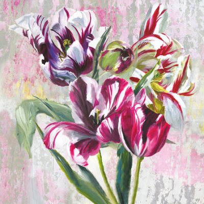 Tulipa Stellata Fuchsia Greeting Card